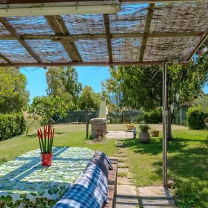 Girasole , Spergolaia Italia